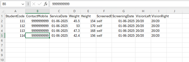 CSV Excel Format